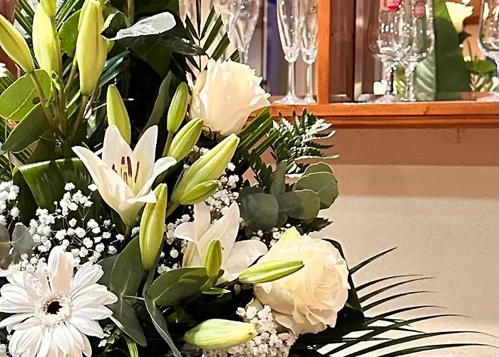 Residencial A Cista Otel Vila da Ponte (Vila Real)